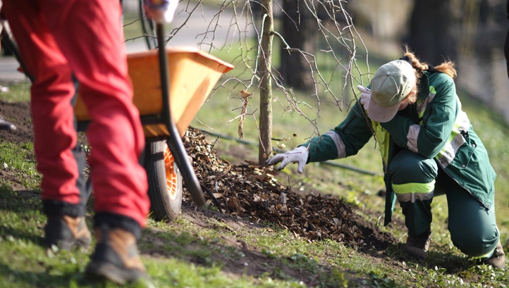The charities are asking for additional short-term emergency funding to cover costs for vital work.